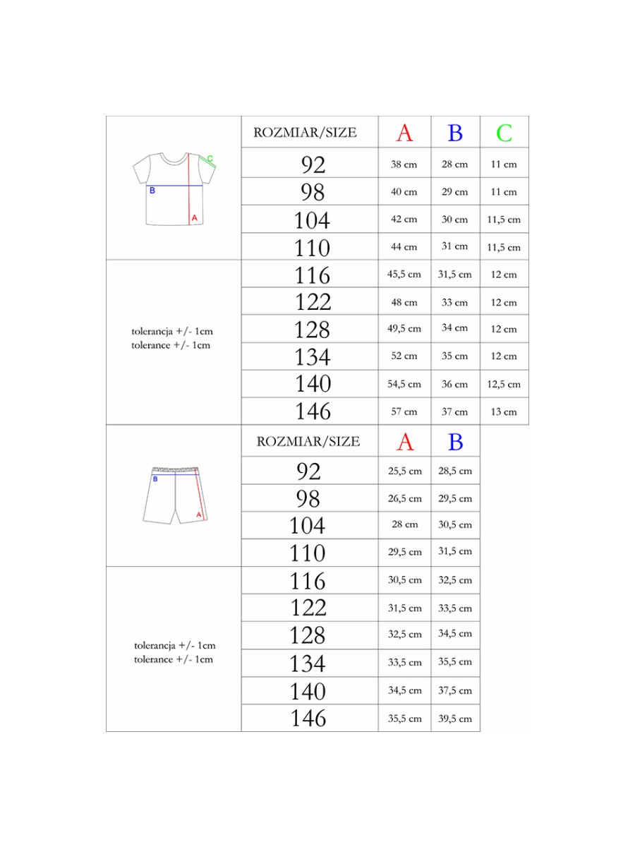 Chłopięcy komplet t-shirt + szorty Nicol