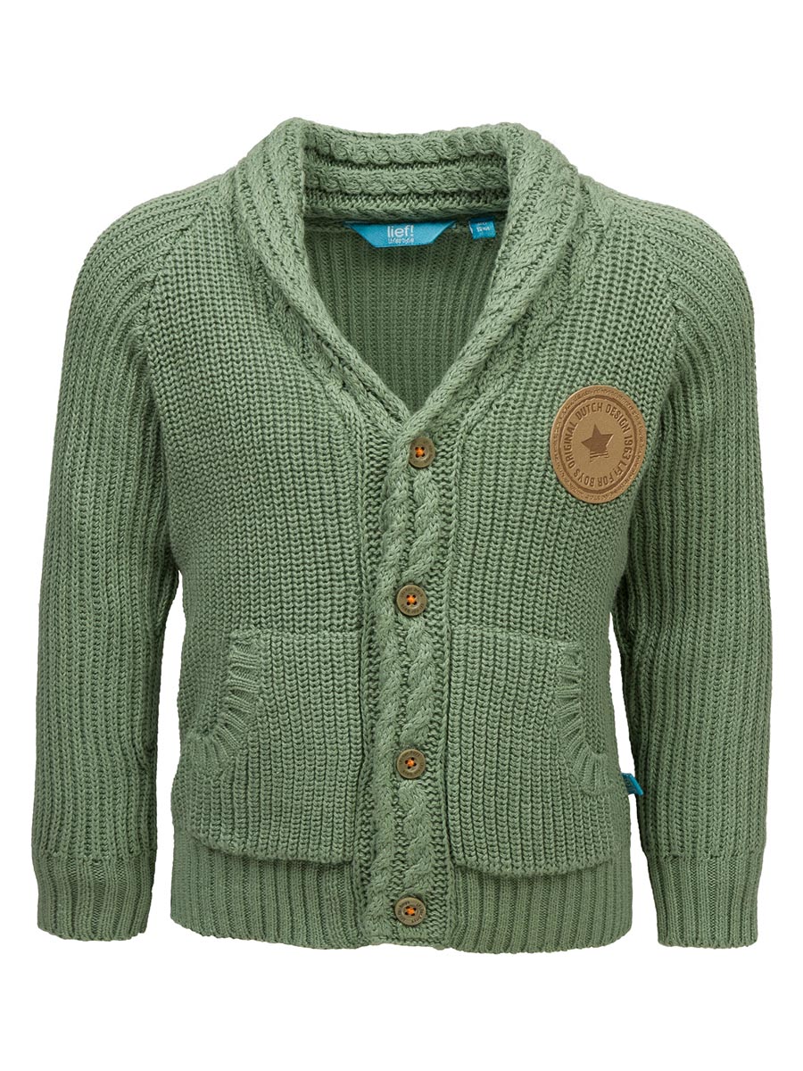 Sweter chłopięcy bawełniany zielony Lief