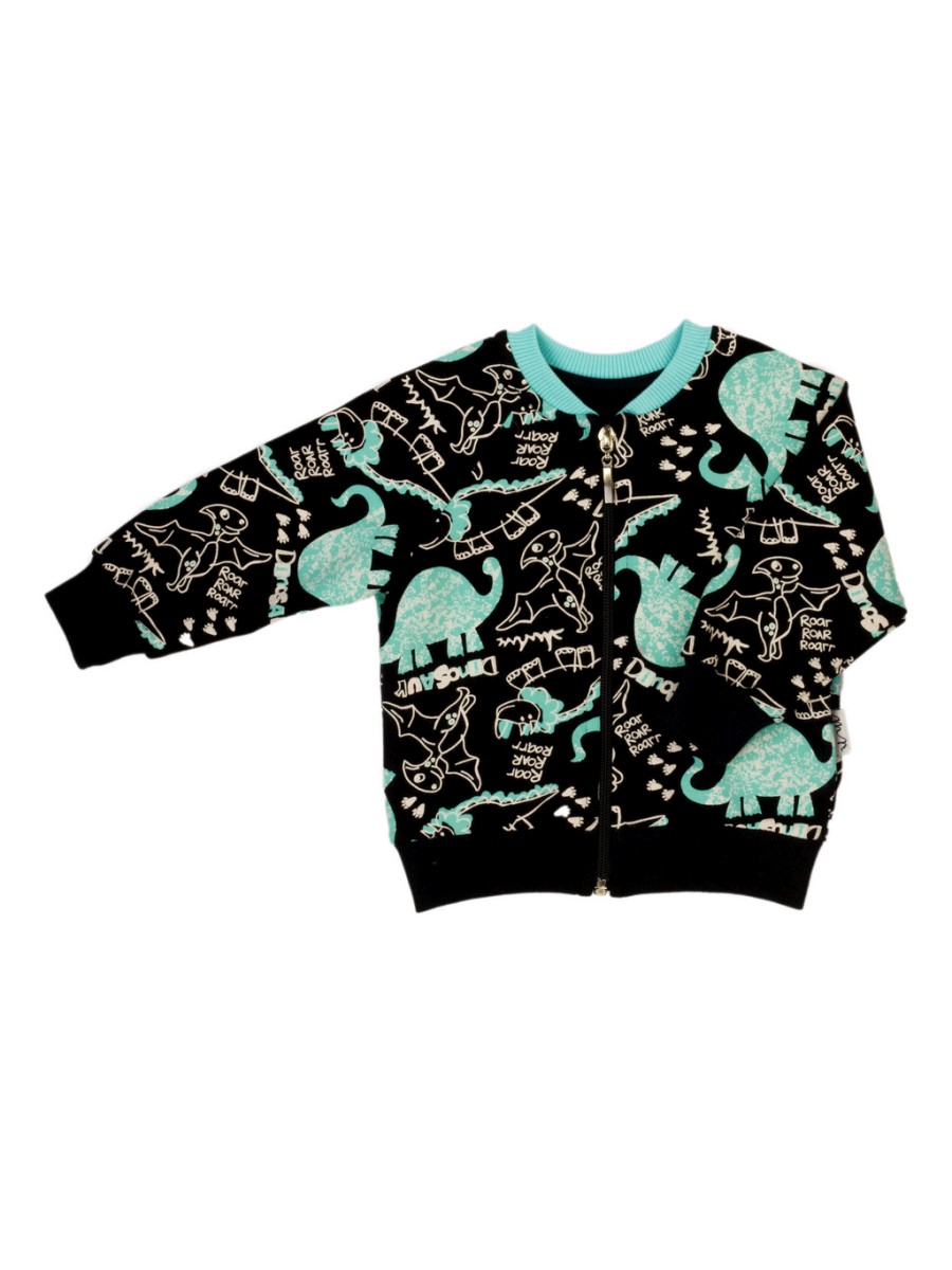 Bluza dresowa dla chłopca Dinozaur Nicol